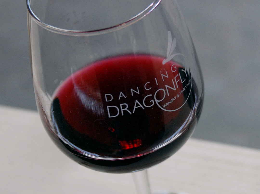 Dancing Dragonfly Winery-Saint Croix Falls必去景点