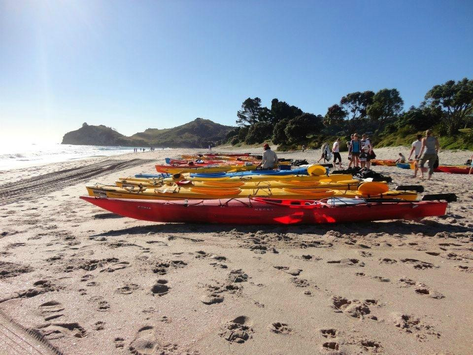 Cathedral Cove Kayak Tours-哈海必去景点