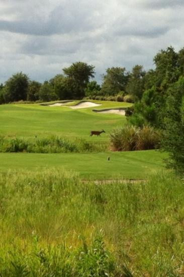 Camp Creek Golf Club景点图片