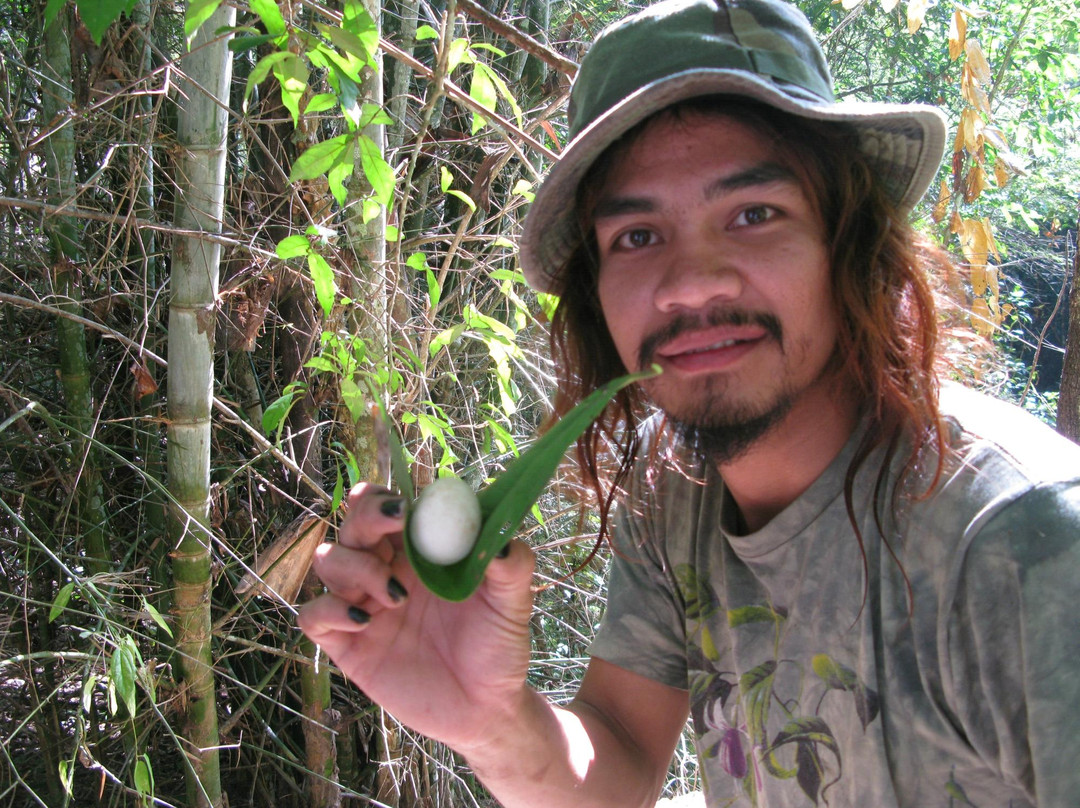 Clifftop Adventures Tour-清迈必去景点