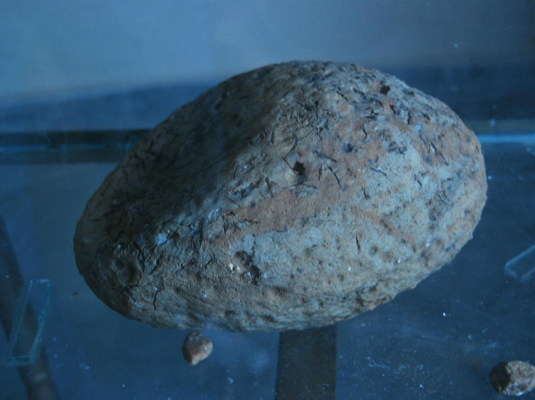 Ghughwa Fossil National Park-Dindori必去景点