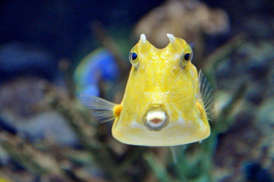 Istanbul Akvaryum-伊斯坦布尔必去景点