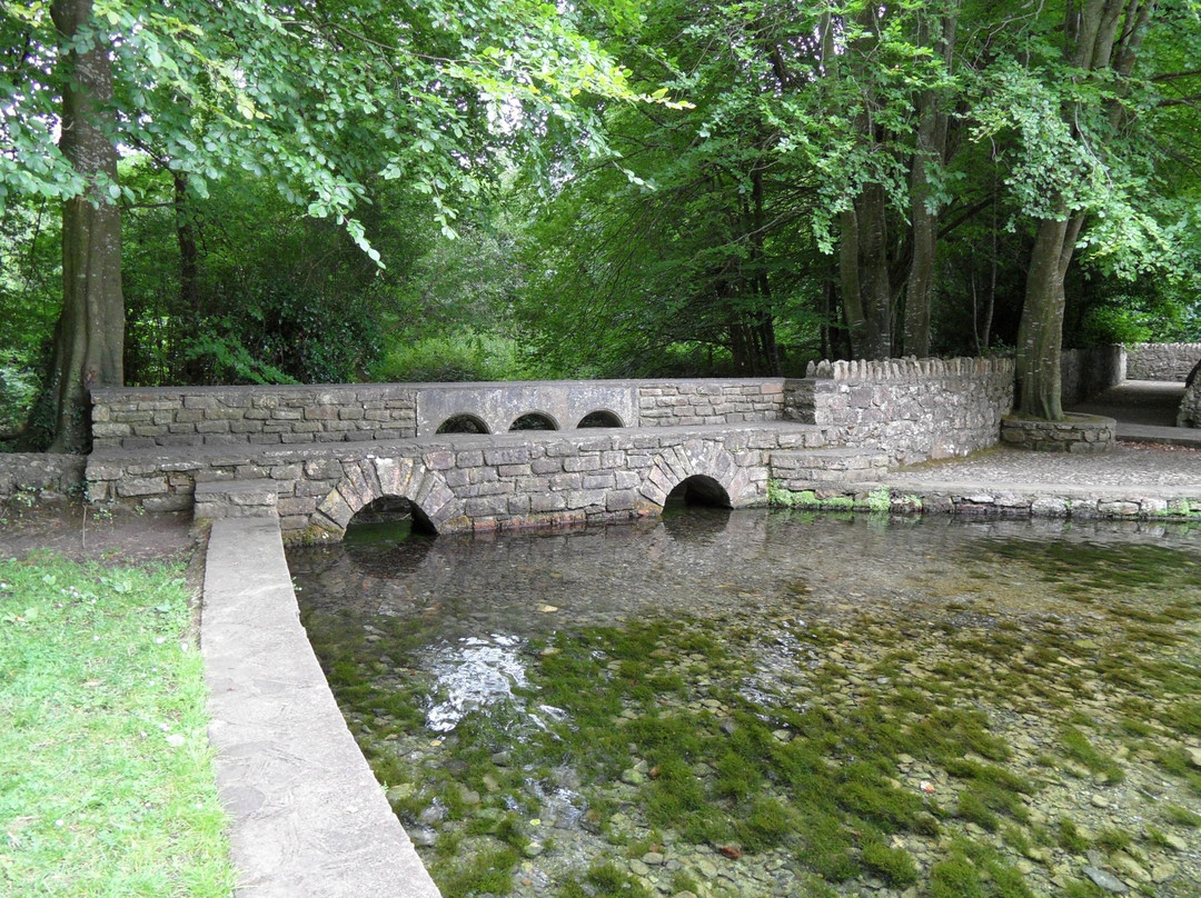 St. Patrick's Well-Clonmel必去景点