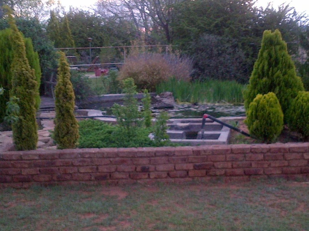 Springfontein Guesthouse主图