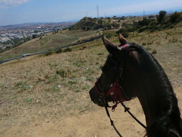 Centro Ippico Amico del Cavallo-Misterbianco必去景点
