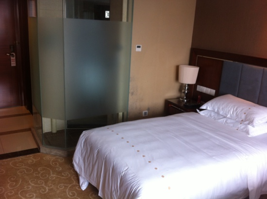 豪瑞特酒店-客卧