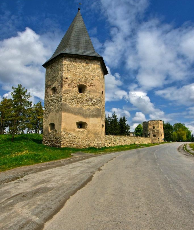 Castle Ruins at Kryvche-Kryvche必去景点