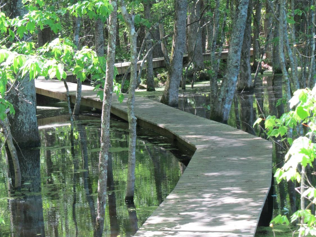 Pee Dee National Wildlife Refuge景点图片