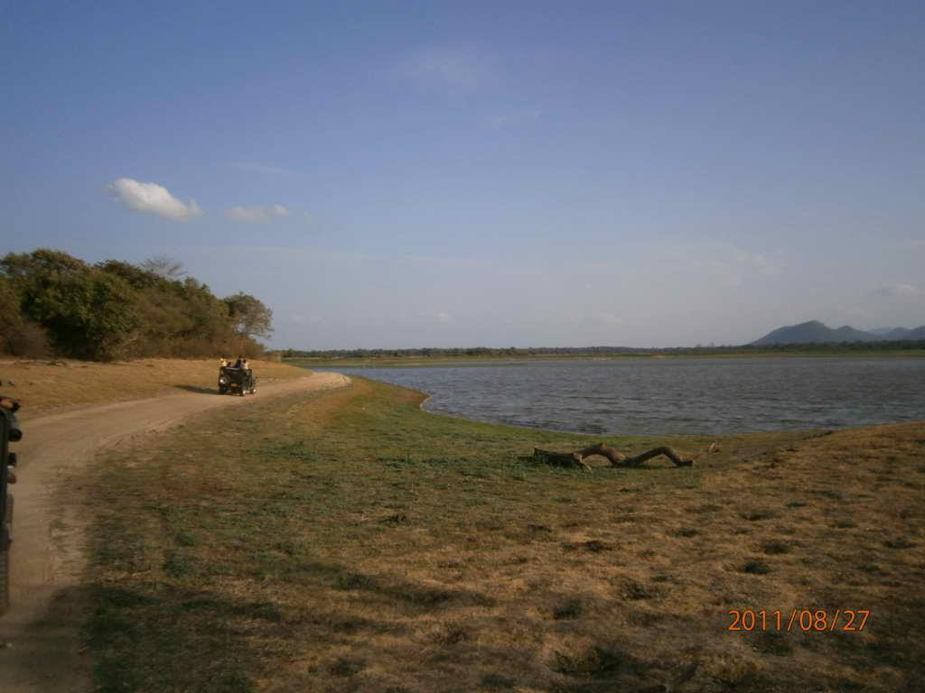Minneriya National Park景点图片