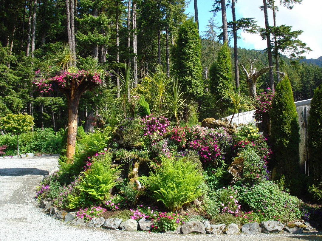 Glacier Gardens Rainforest Adventure-朱诺必去景点