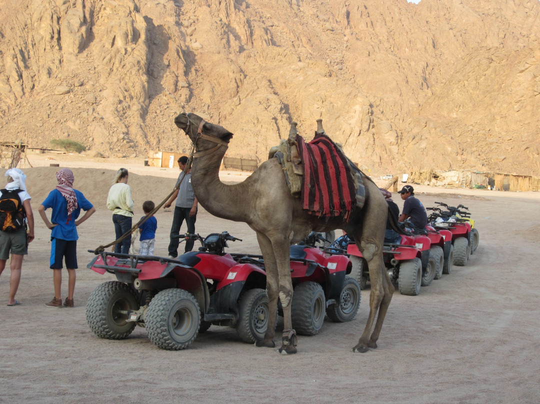Sharm Happy Tours-沙姆沙伊赫必去景点