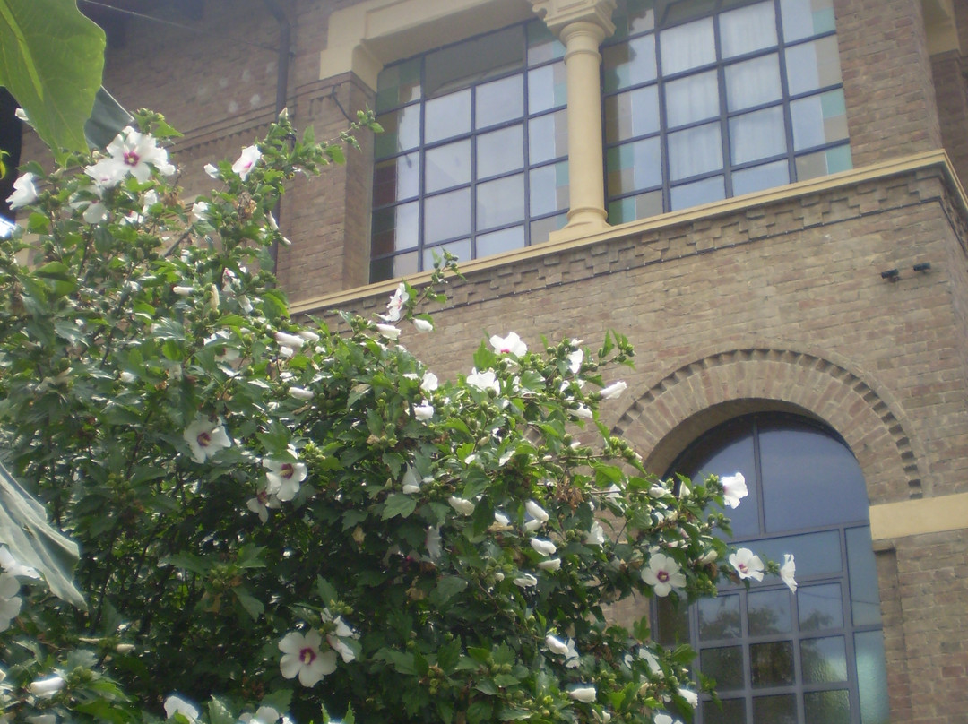 Castagnole Lanze酒店住宿-Antica Casa Fiore