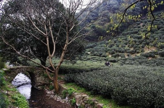 杭州曼殊·天竺里民宿（西湖灵隐寺店）-客卧