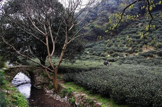 杭州曼殊·天竺里民宿（西湖灵隐寺店）主图