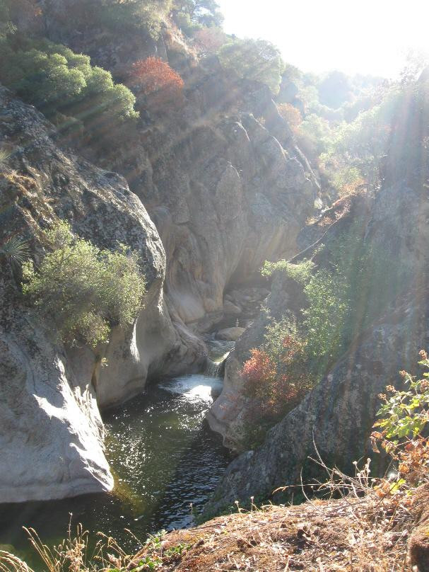 Paradise Canyon Cabins