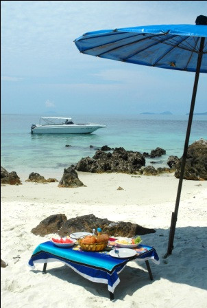 Coral Seekers-普吉镇必去景点