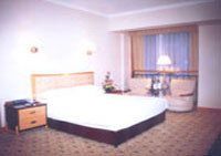 山东航空大厦-客卧