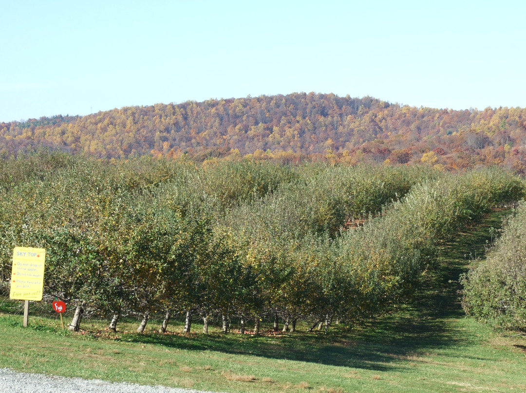 Sky Top Orchard-Flat Rock必去景点