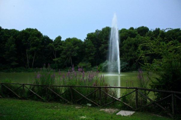 Pineta Dannunziana景点图片