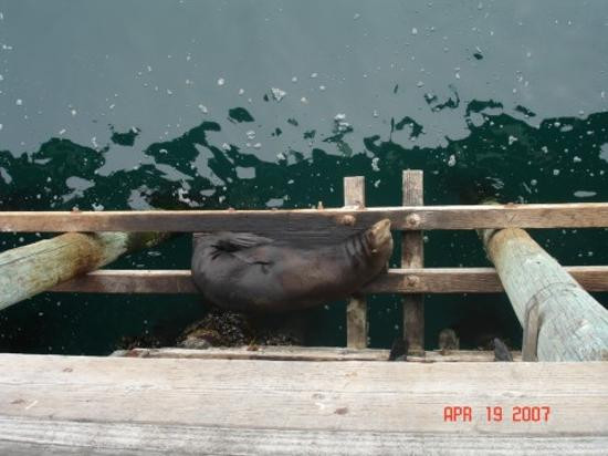 圣克鲁斯码头-圣克鲁斯必去景点