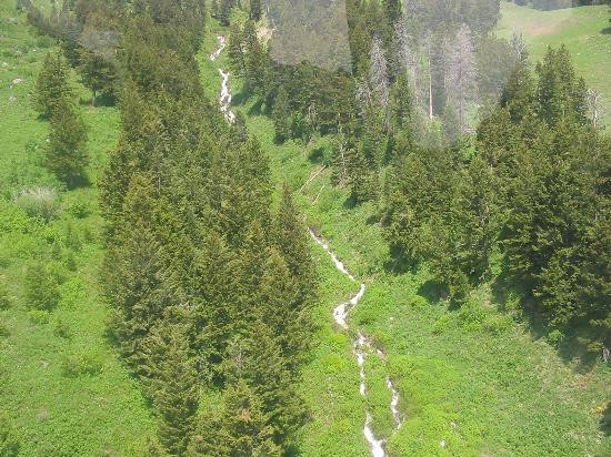 Jackson Hole Aerial Tram景点图片