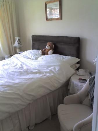 Selborne House-客卧