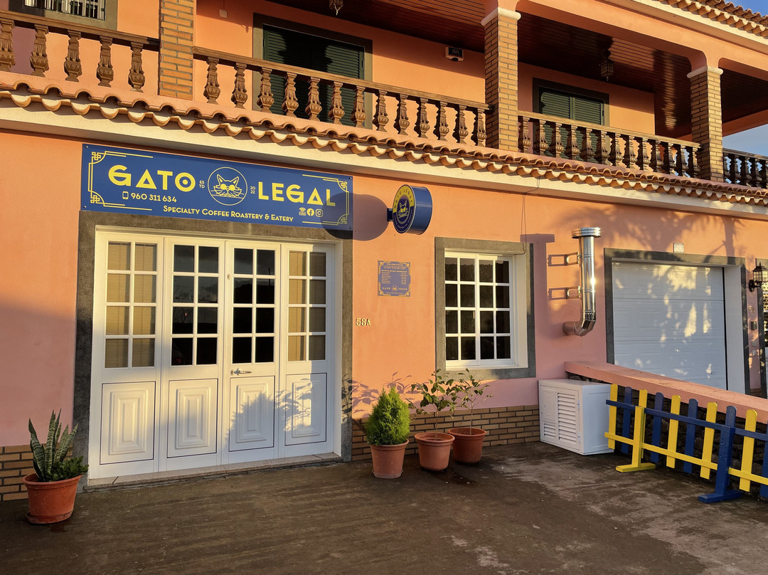 Gato Legal Coffee Roastery
