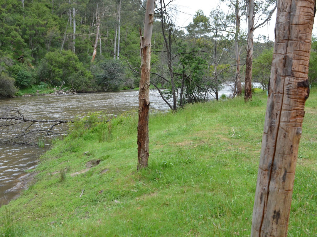 渥伦泰德省立公园-墨尔本必去景点