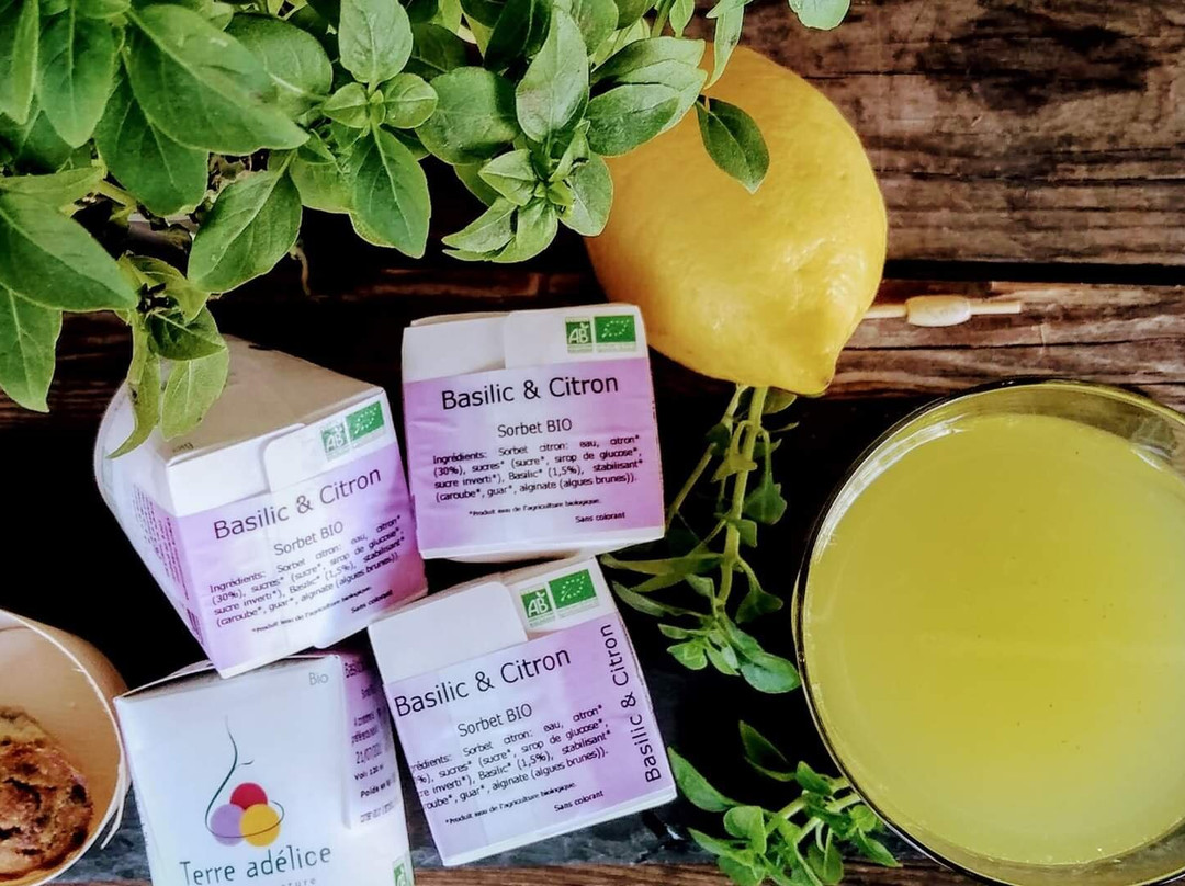 Basilic & Citron