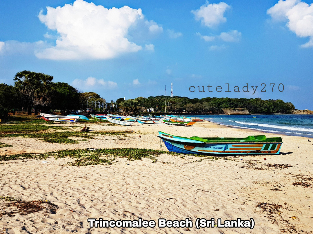 Dutch Bay-Trincomalee必去景点