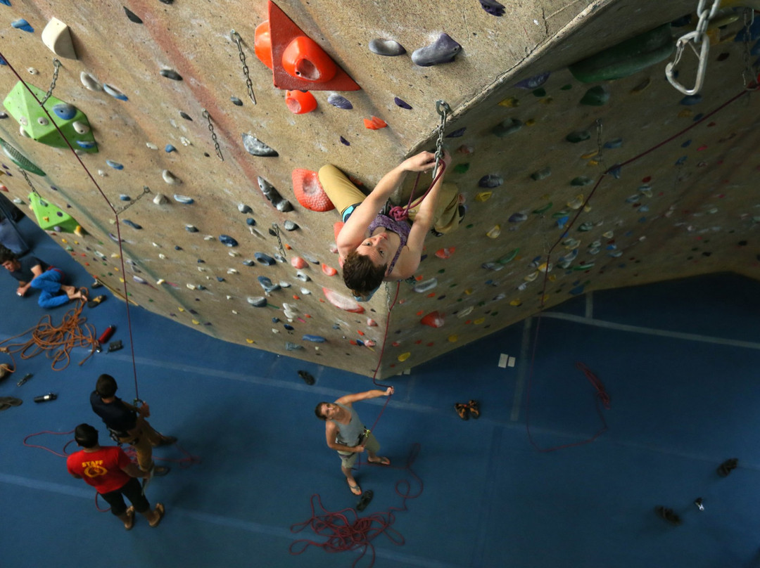 Upper Limits Rock Climbing Gym景点图片
