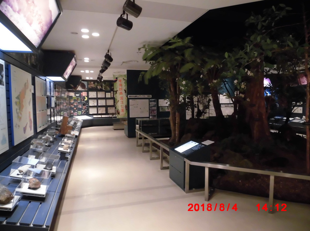 Amami Museum-奄美市必去景点