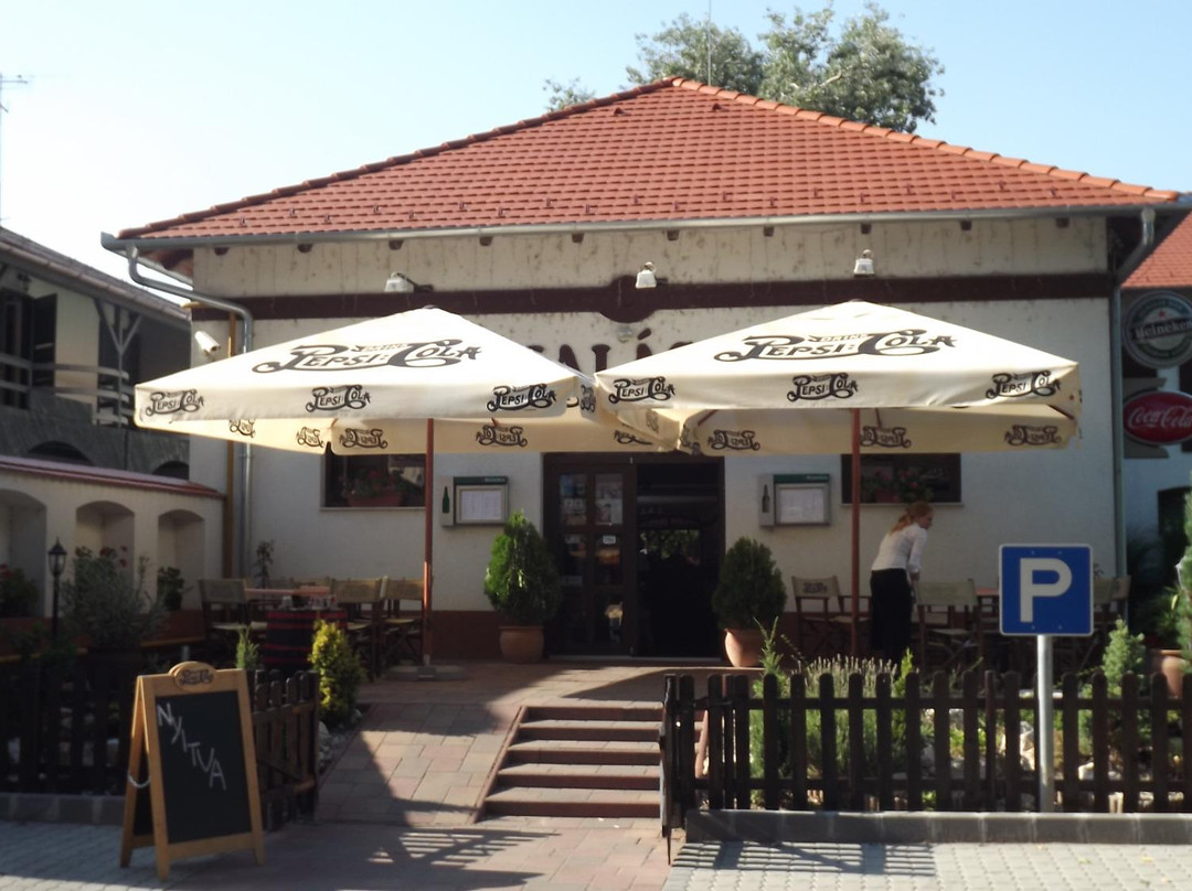 Baja餐馆和美食-Sobri Halászcsárda and Pension