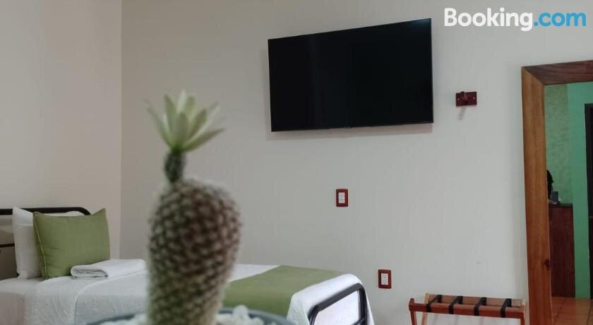 Casa de las Flores Hotel Boutique主图