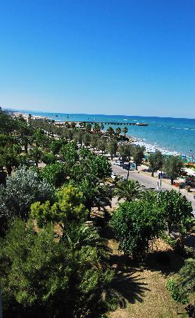 Pensione Ristorante Narcisi-酒店景观