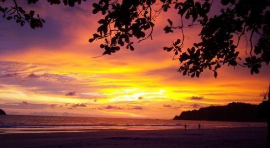 Playa Manuel Antonio景点图片