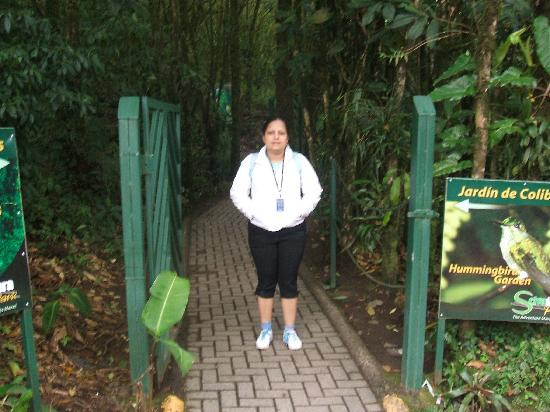 Monteverde Cloud Forest Biological Reserve景点图片