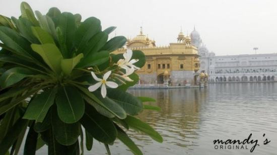 Golden Temple-阿姆利则必去景点