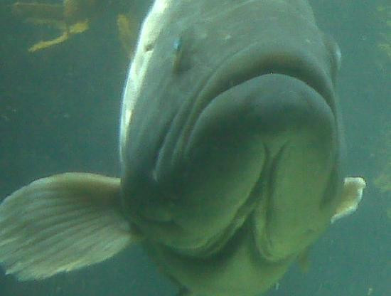 圣地亚哥海洋世界-拉荷亚必去景点