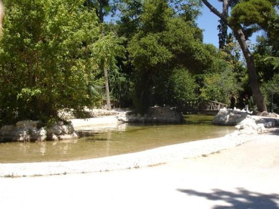 National Garden-雅典必去景点