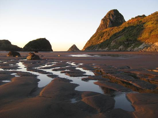 Back Beach-新普利默斯必去景点