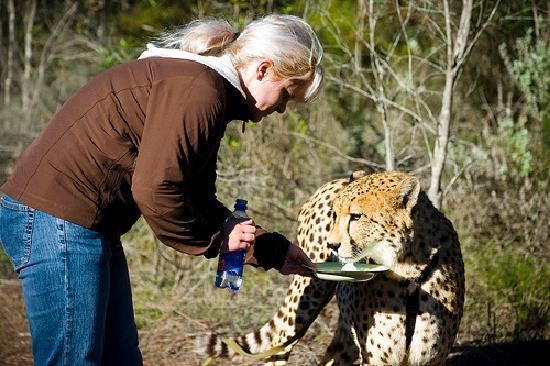 Tenikwa Wildlife Awareness Centre-The Crags必去景点