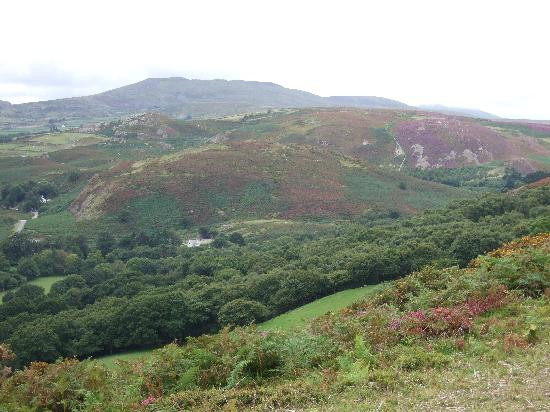 Conwy Mountain景点图片
