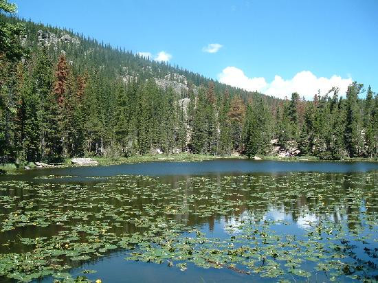 Bear Lake Trailhead景点图片