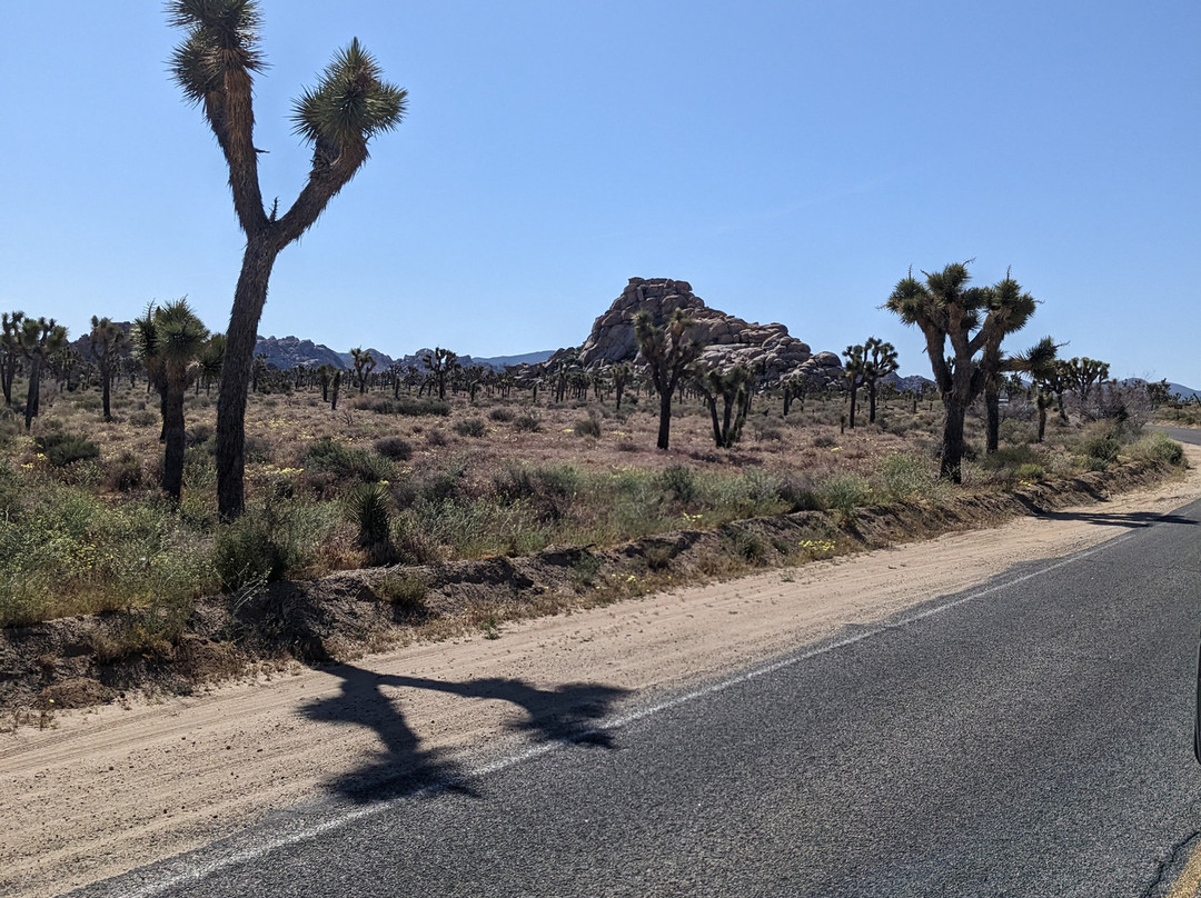 Adventure Hummer Tours and Events-棕榈沙漠必去景点