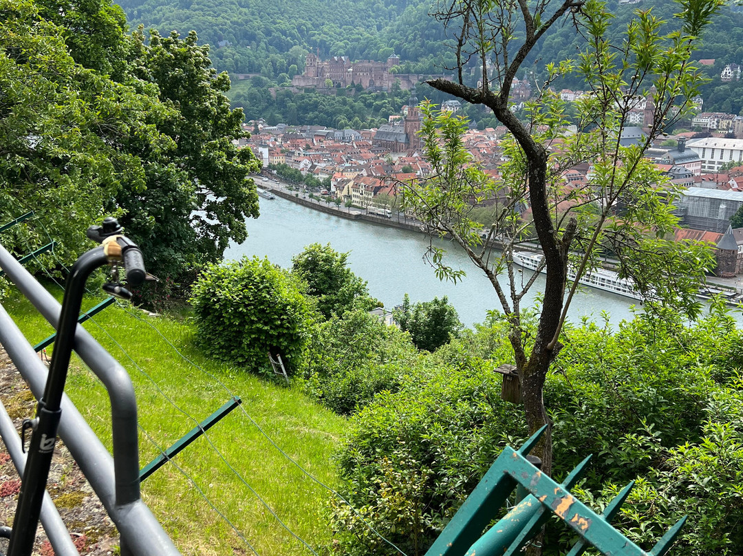 StadtSafari Segway Tours Heidelberg-海德尔堡必去景点
