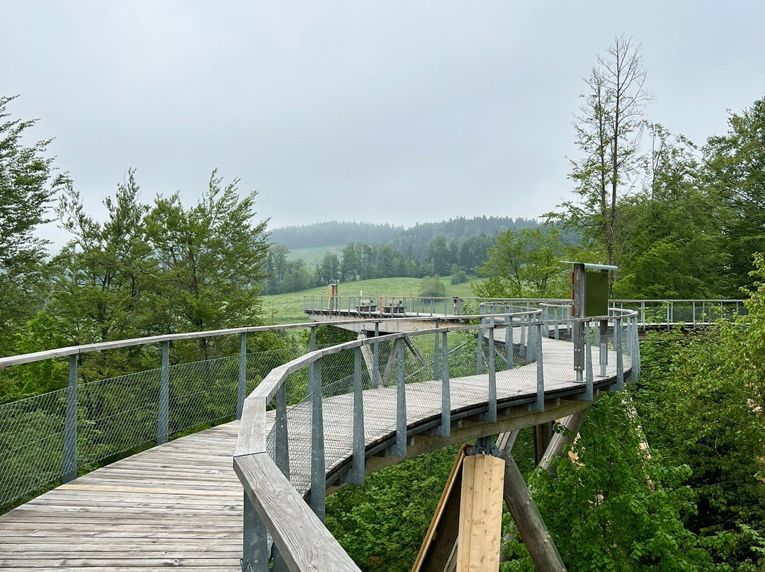 Baumwipfelpfad Neckertal-Mogelsberg必去景点