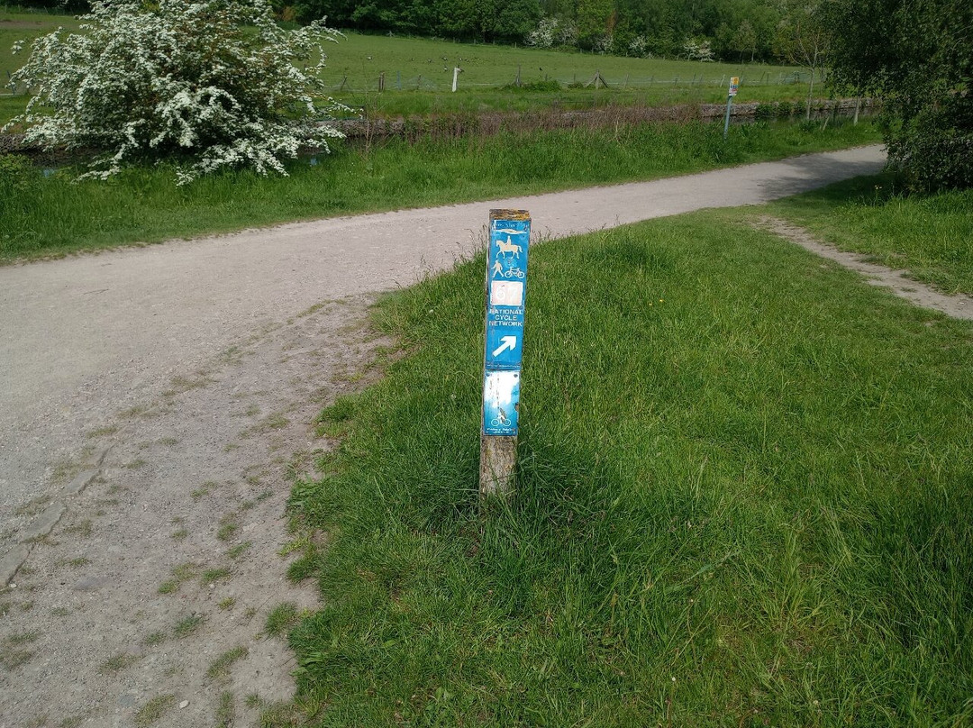 Walton Colliery Nature Park景点图片