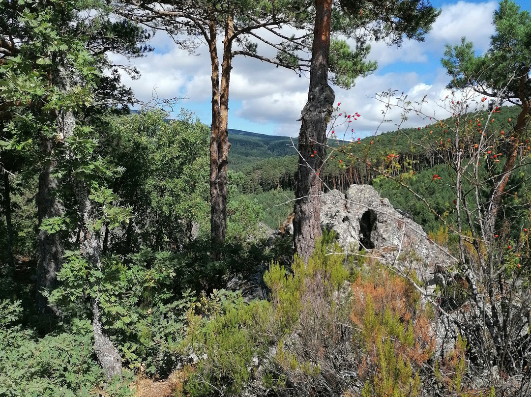 Posada Las Mayas主图