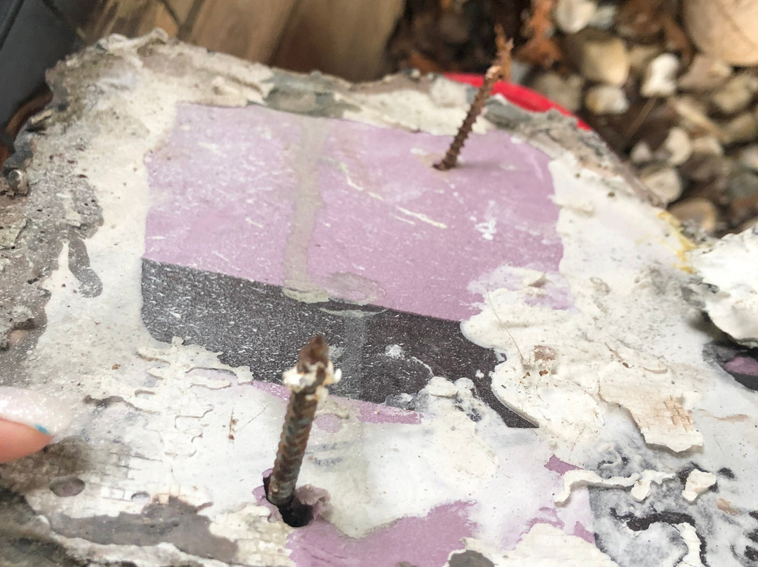 Mini 'S' Exotic Zoo-Mineola必去景点